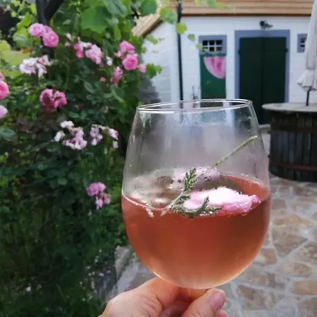 Casa vacanze Charming Cellar House In The Heart Of Wine Country *